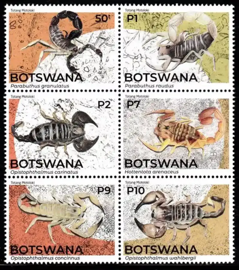 Botswana 2021 Scorpions, Set. MNH(**) Botswana 2021 Scorpions, Set. MNH(**)