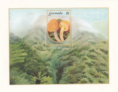 Grenada 1986 Mushrooms. (ss/1v)-MNH(**) Grenada 1986 Mushrooms. (ss/1v)-MNH(**)