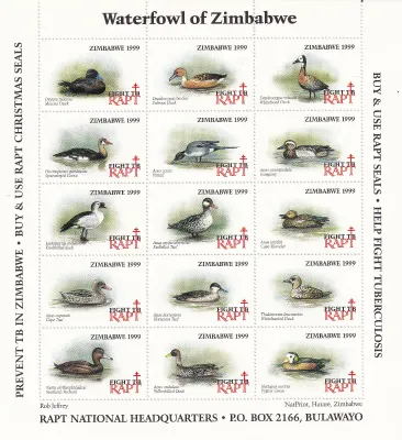 Zimbabwe 1999 RAPT "Waterfowl, Bird". Sheet. MNH(**) Zimbabwe 1999 RAPT "Waterfowl, Bird". Sheet. MNH(**)