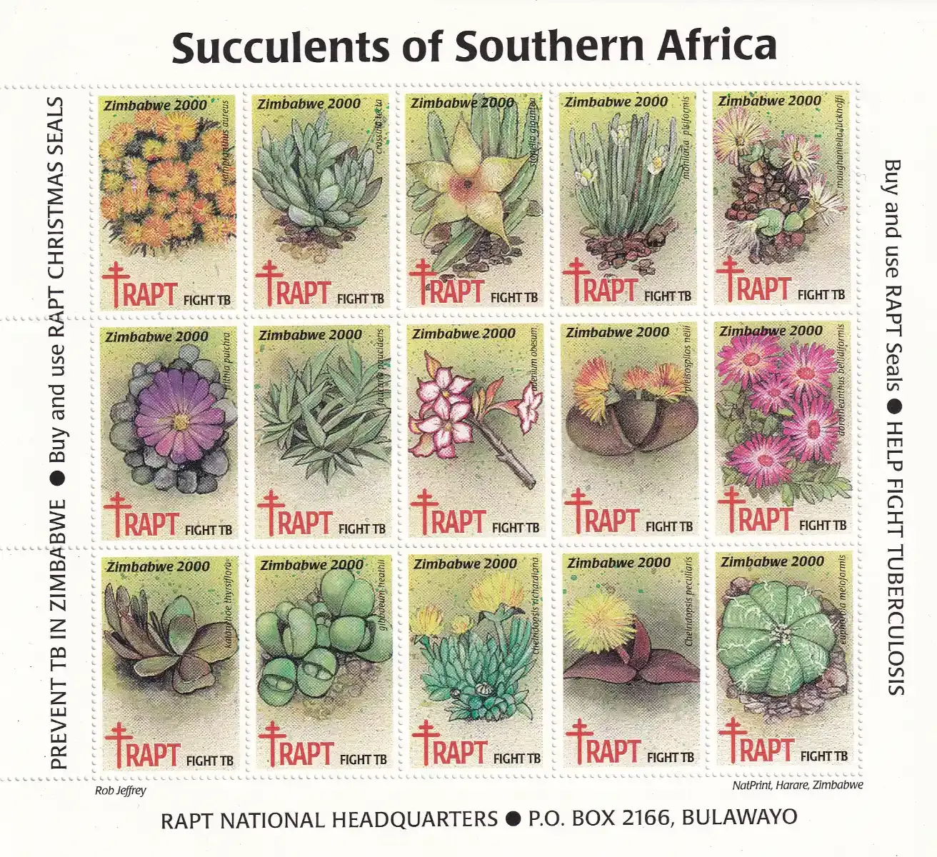 Zimbabwe 2000 RAPT "Succulents of Southern Africa". Sheet. MNH(**) Zimbabwe 2000 RAPT "Succulents of Southern Africa". Sheet. MNH(**)