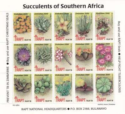 Zimbabwe 2000 RAPT "Succulents of Southern Africa". Sheet. MNH(**) Zimbabwe 2000 RAPT "Succulents of Southern Africa". Sheet. MNH(**)
