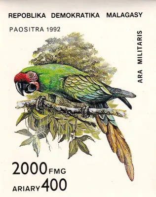Madagascar 1993 Birds, Parrots (ss/v1) MNH(**) Madagascar 1993 Birds, Parrots (ss/v1) MNH(**)