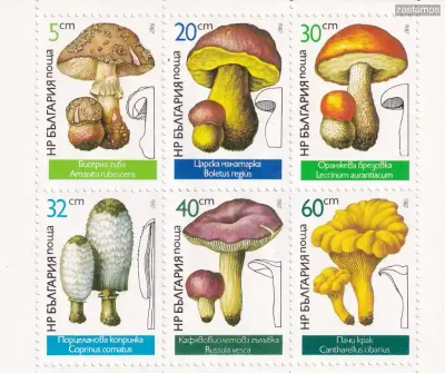 Bulgaria 1987 Fungi, Mushrooms (ss/v6). MNH(**) Bulgaria 1987 Fungi, Mushrooms (ss/v6). MNH(**)