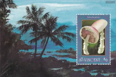 St. Vincent 1992 Fungi, Mushrooms. (ss/v3) #3 MNH(**)