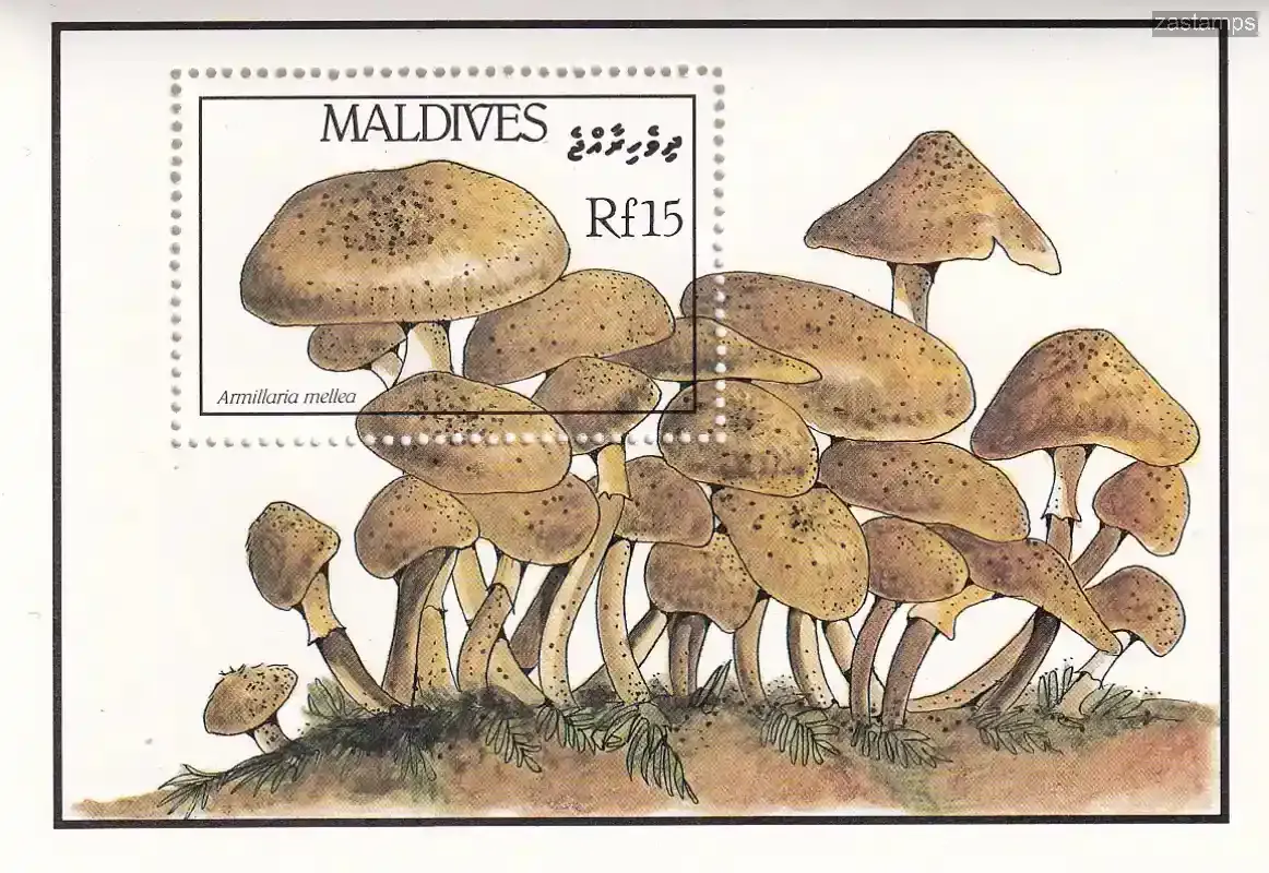 Maldives 1986 Fungi, Mushrooms of the Maldives. (SS/V1) #1. MNH(**) Maldives 1986 Fungi, Mushrooms of the Maldives. (SS/V1) #1. MNH(**)