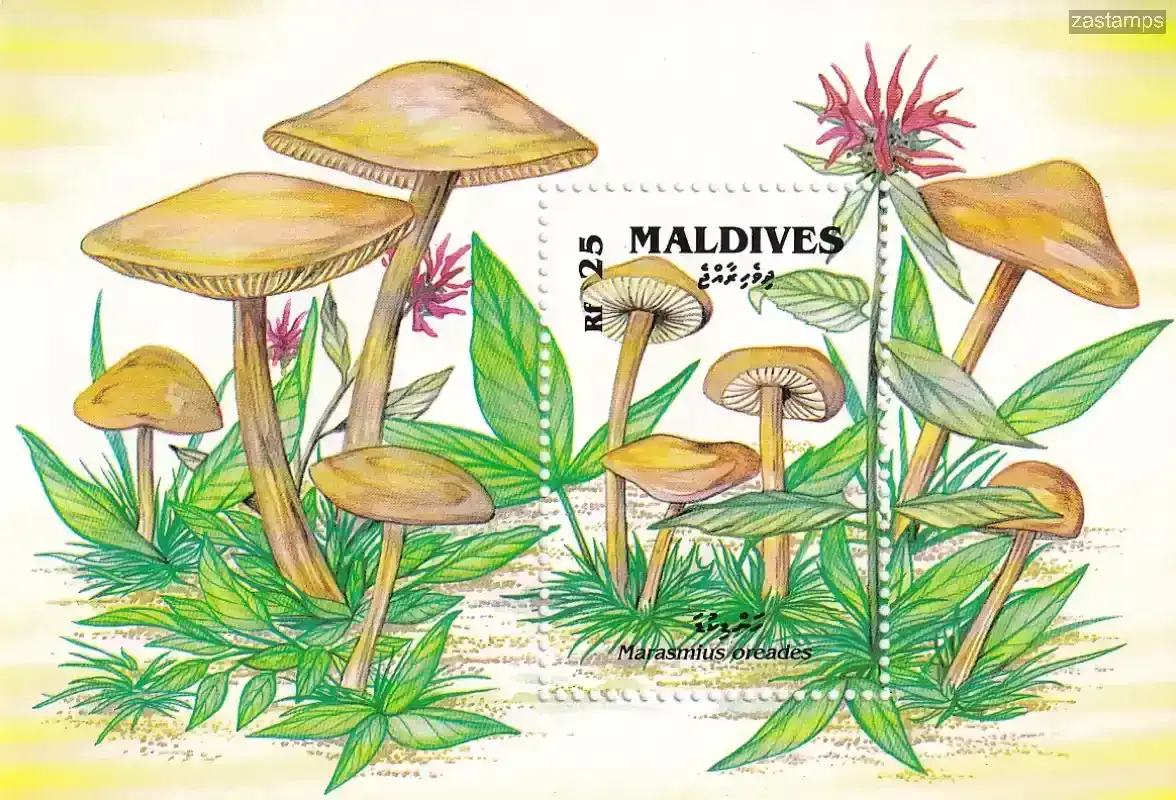 Maldives 1992 Mushrooms. Trametes cinnabarina. (SS/v1). #2 MNH(**) Maldives 1992 Mushrooms. Trametes cinnabarina. (SS/v1). #2 MNH(**)