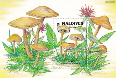 Maldives 1992 Mushrooms. Trametes cinnabarina. (SS/v1). #2 MNH(**) Maldives 1992 Mushrooms. Trametes cinnabarina. (SS/v1). #2 MNH(**)