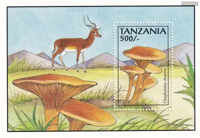 Tanzania 1993 Fungi, Mushrooms (ss/v1) MNH(**) Tanzania 1993 Fungi, Mushrooms (ss/v1) MNH(**)