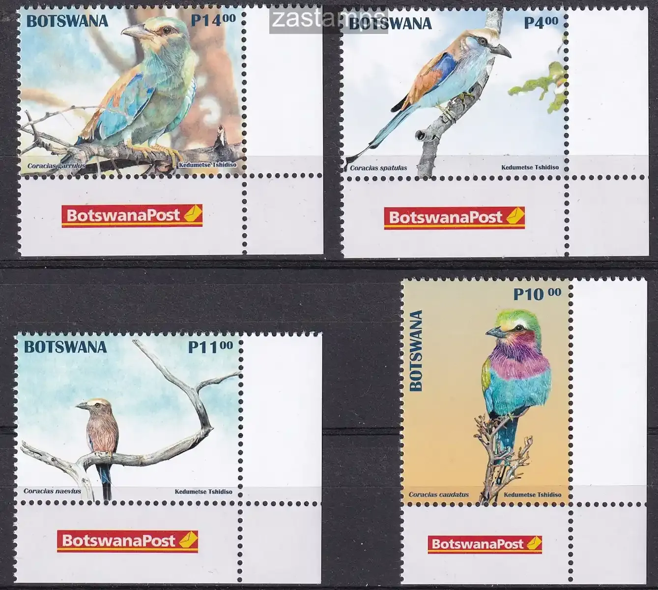 Botswana 2025 Birds Rollers. MNH(**) Botswana 2025 Birds Rollers. MNH(**)