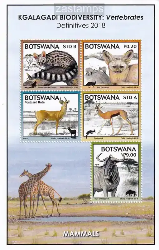 Botswana 2018 Kgalagadi Biodiversity - Vertebrates, Mammals. (ss/v5). MNH