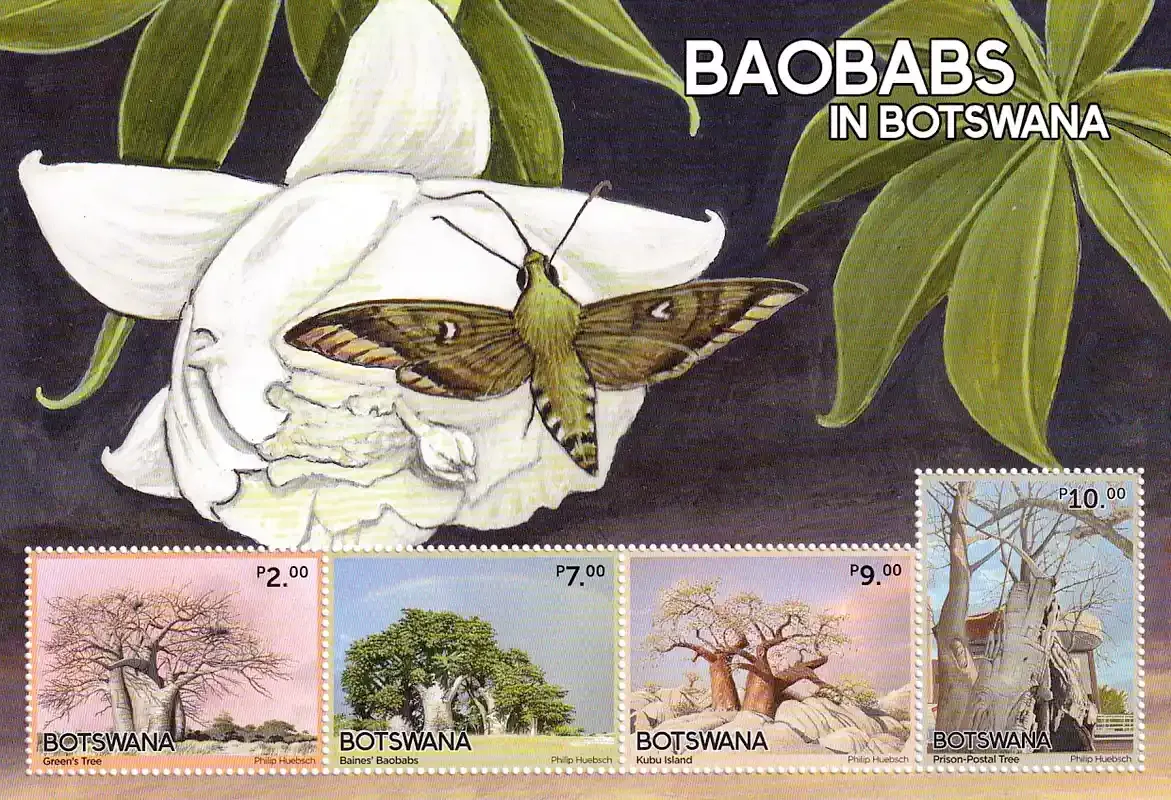 Botswana 2022 Baobabs in Botswana. (ss/v4) MNH(**) Botswana 2022 Baobabs in Botswana. (ss/v4) MNH(**)