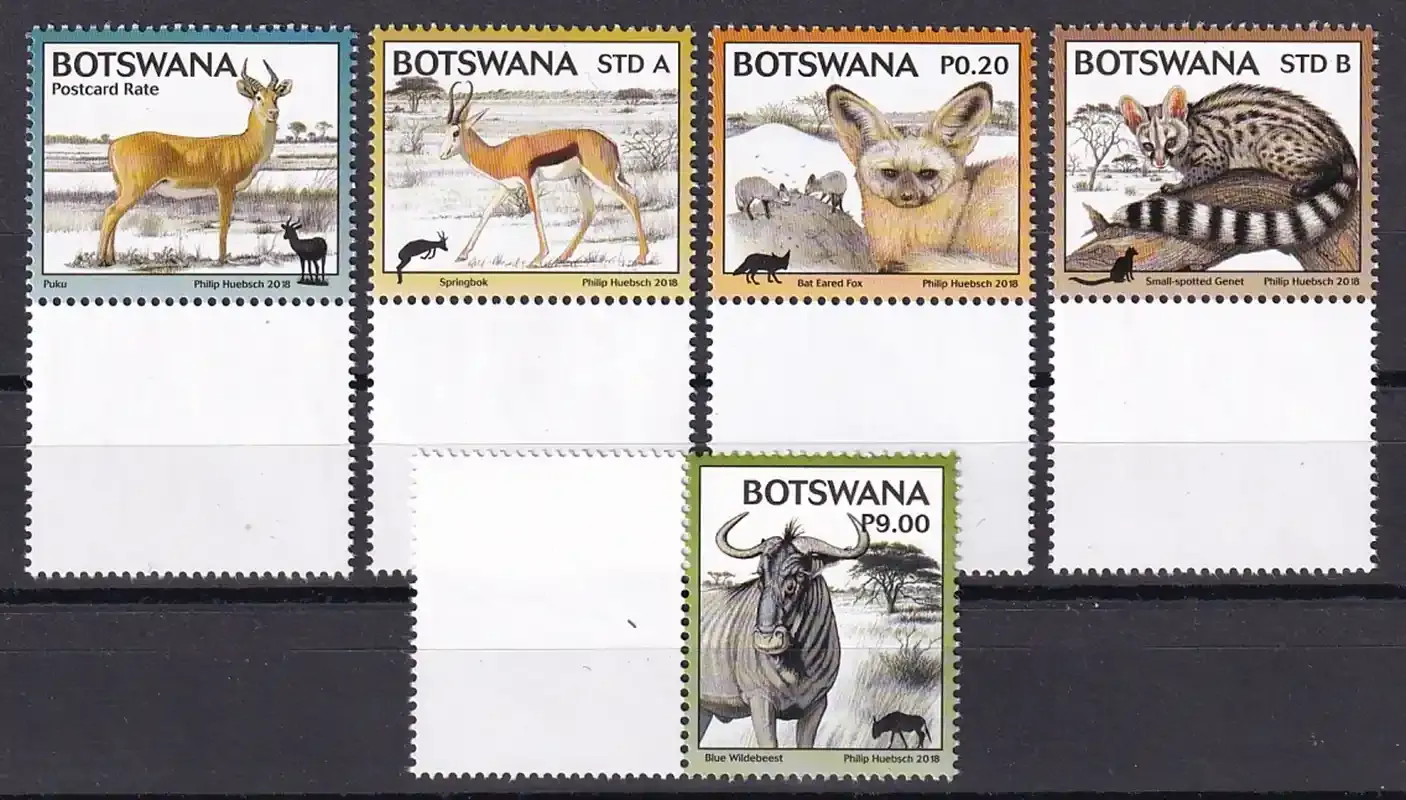 Botswana 2018 Kgalagadi Biodiversity - Vertebrates, Mammals. MNH Botswana 2018 Kgalagadi Biodiversity - Vertebrates, Mammals. MNH