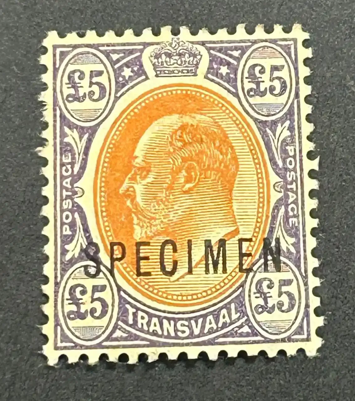 Transvaal 1903 King Edward VII £5 "Specimen". SG259 Transvaal 1903 King Edward VII £5 "Specimen". SG259