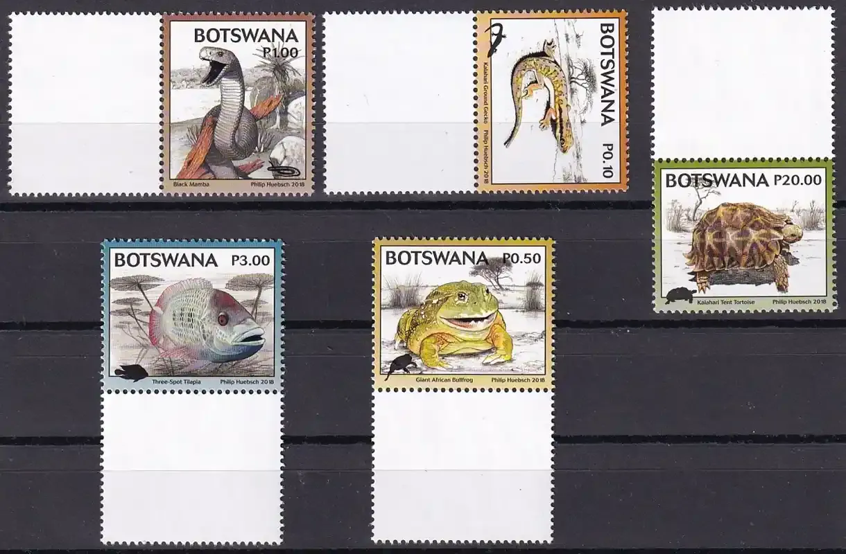 Botswana 2018 Kgalagadi Biodiversity - Vertebrates: Reptiles, Fish. MNH Botswana 2018 Kgalagadi Biodiversity - Vertebrates: Reptiles, Fish. MNH