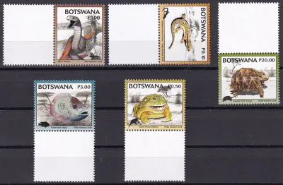 Botswana 2018 Kgalagadi Biodiversity - Vertebrates: Reptiles, Fish. MNH Botswana 2018 Kgalagadi Biodiversity - Vertebrates: Reptiles, Fish. MNH