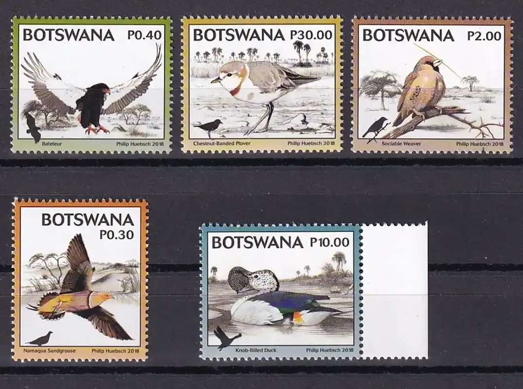 Botswana 2018 Kgalagadi Biodiversity - Vertebrates. MNH