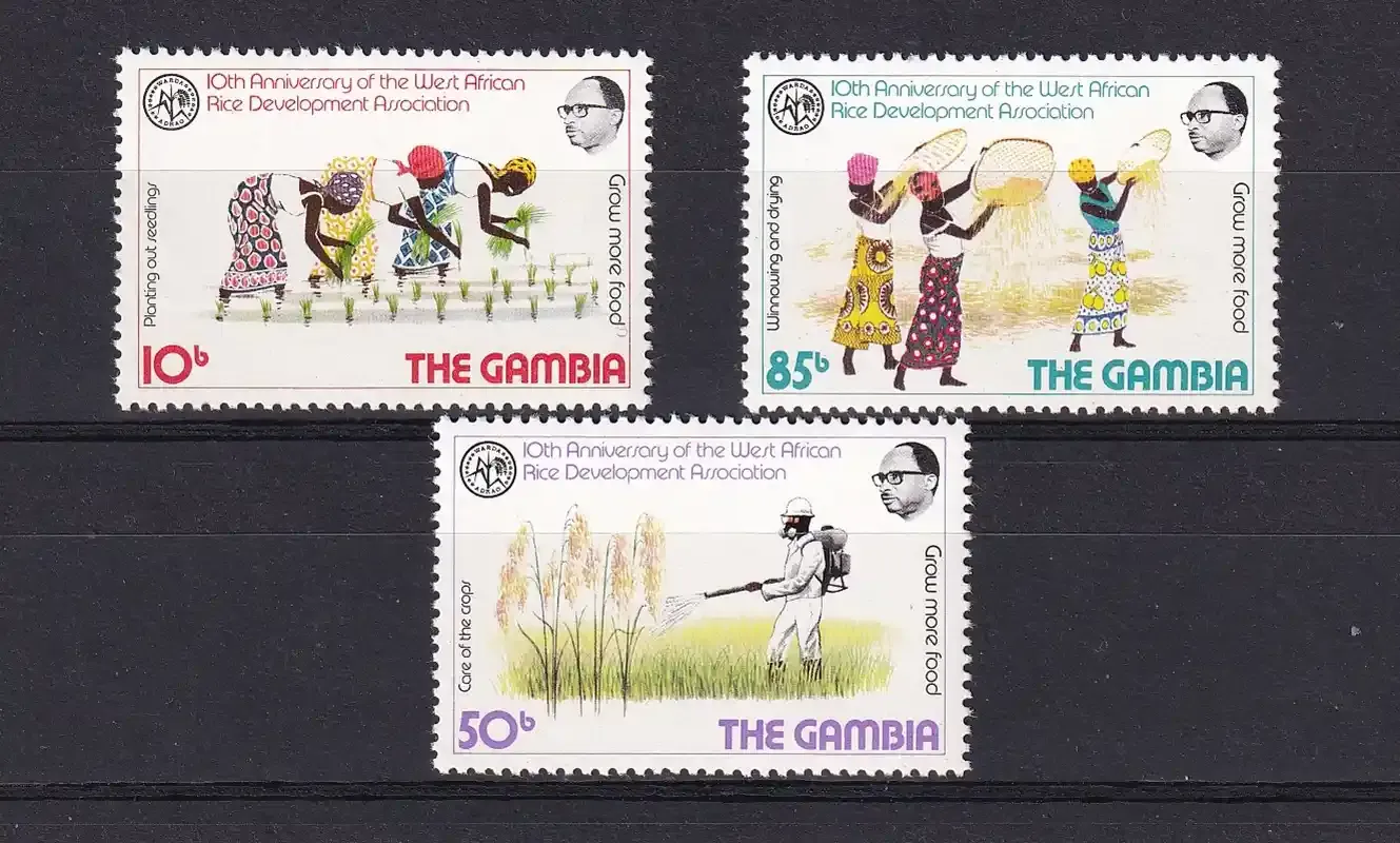 Gambia 1981 Anniv of West African Rice Development Association-MNH(**) Gambia 1981 Anniv of West African Rice Development Association-MNH(**)