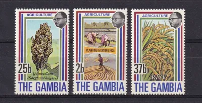 Gambia 1973 Agriculture #1 - 2b-37b (3v)-MNH(**) Gambia 1973 Agriculture #1 - 2b-37b (3v)-MNH(**)
