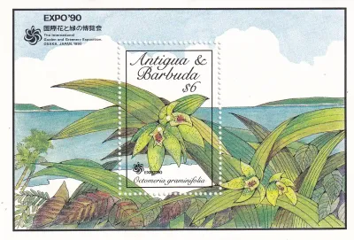 Antigua & Barbuda 1990 Int Gardens and Greenery Exhibition "EXPO '90" - Osaka, Japan - Orchids (SS/v1). MNH(**) Antigua & Barbuda 1990 Int Gardens and Greenery Exhibition "EXPO '90" - Osaka, Japan - Orchids (SS/v1). MNH(**)