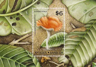 Antigua & Barbuda 1989 Mushrooms. (SS/v1). MNH(**) Antigua & Barbuda 1989 Mushrooms. (SS/v1). MNH(**)