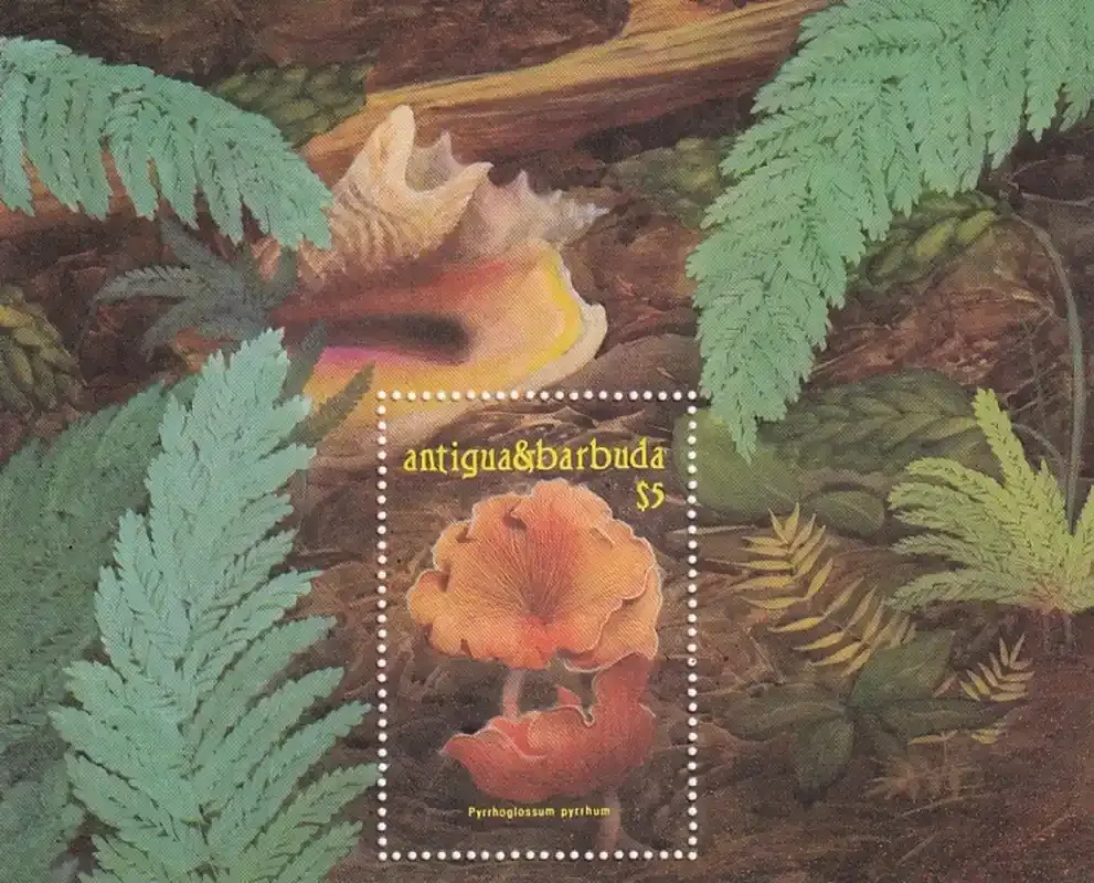 Antigua &amp; Barbuda 1986 Mushrooms. (SS/v1). MNH(**)
