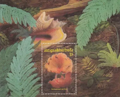 Antigua & Barbuda 1986 Mushrooms. (SS/v1). MNH(**) Antigua & Barbuda 1986 Mushrooms. (SS/v1). MNH(**)