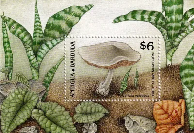Antigua & Barbuda 1989 Mushrooms. (SS/v1). MNH(**) Antigua & Barbuda 1989 Mushrooms. (SS/v1). MNH(**)