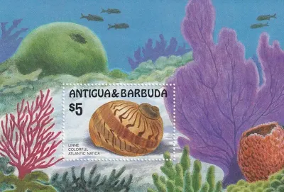 Antigua & Barbuda 1986 Sea Shells. (SS/v1). MNH(**) Antigua & Barbuda 1986 Sea Shells. (SS/v1). MNH(**)