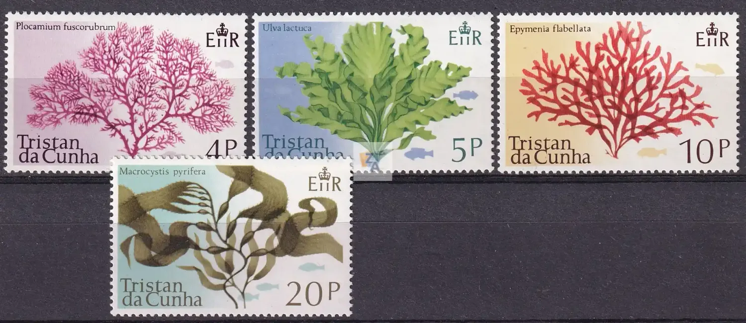 Tristan da Cunha 1975 Marine Algae. MNH Tristan da Cunha 1975 Marine Algae. MNH