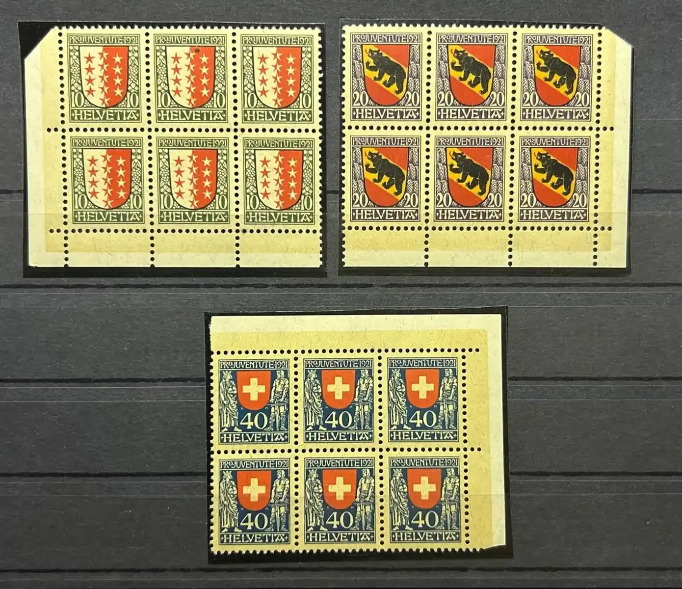 Switzerland 1921 Pro Juventute - Canton coat of arms Swiss coat of arms (Valais, Bern, Switzerland), Michel 172-174. Marginal blocks of 6. MNH(**) Switzerland 1921 Pro Juventute - Canton coat of arms Swiss coat of arms (Valais, Bern, Switzerland), Michel 172-174. Marginal blocks of 6. MNH(**)