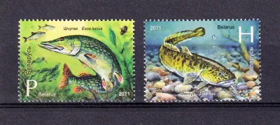 Belarus 2011 Fish. (2v)-MNH(**) Belarus 2011 Fish. (2v)-MNH(**)