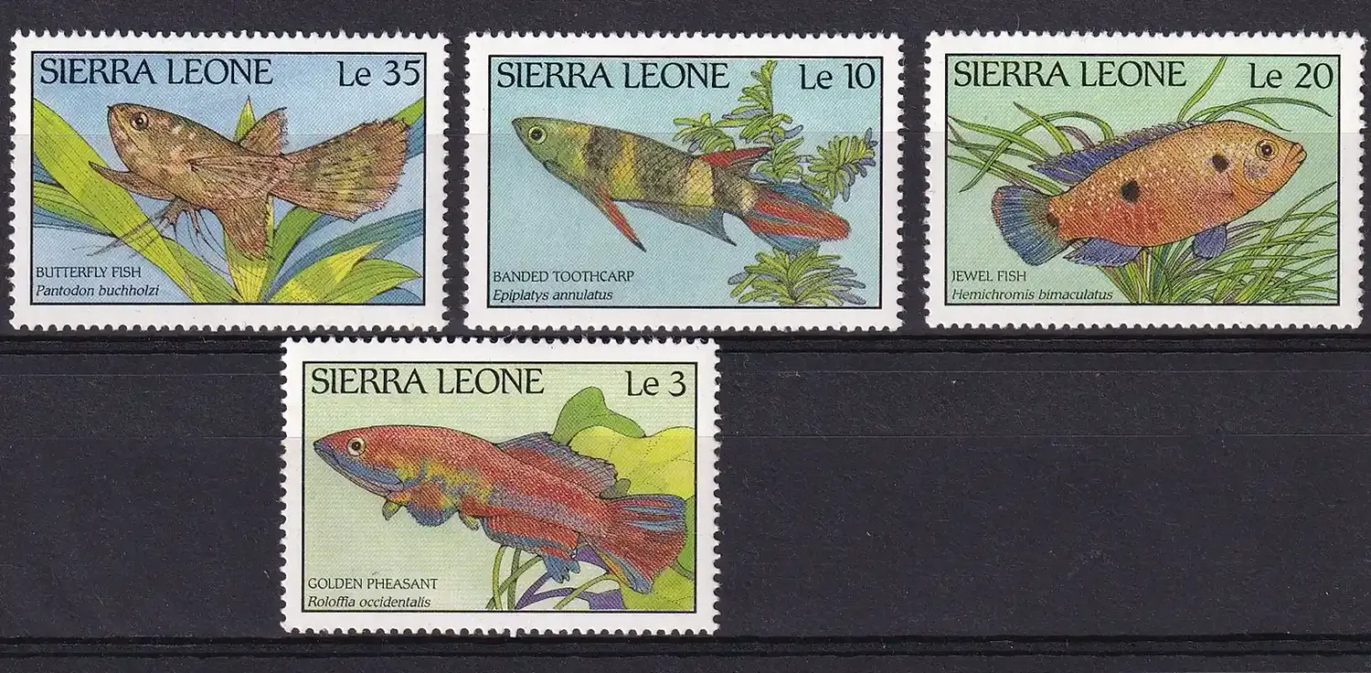 Sierra Leone 1988 Fish. MNH. Sierra Leone 1988 Fish. MNH.