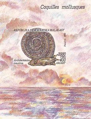 Madagascar 1992 Mollusks. (ss/1v)-MNH(**) Madagascar 1992 Mollusks. (ss/1v)-MNH(**)