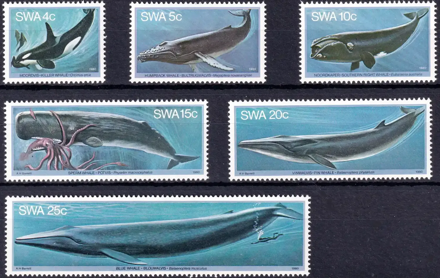 South West Africa 1980 Whales. MNH (**). South West Africa 1980 Whales. MNH (**).