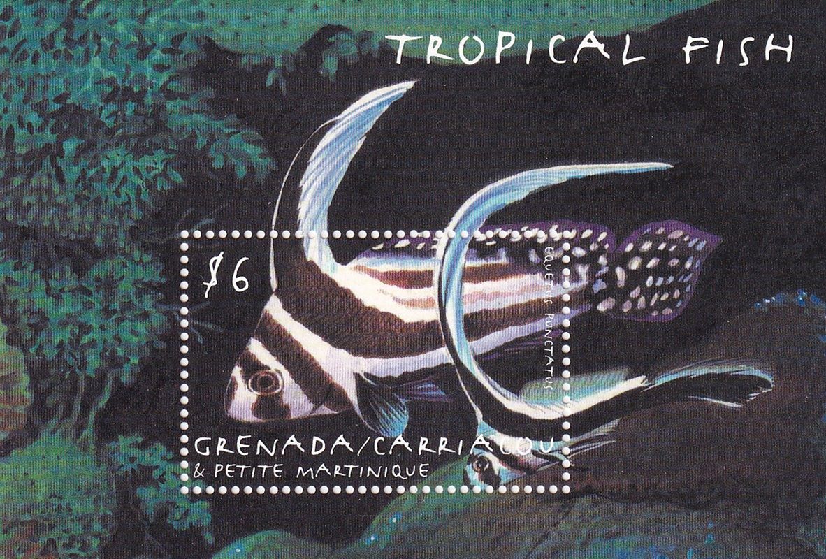 Grenada Grenadines 2000 Tropical Fish (ss/1v). MNH(**)