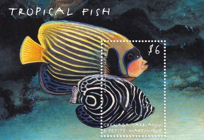 Grenada Grenadines 2000 Tropical Fish (ss/1v). MNH(**)