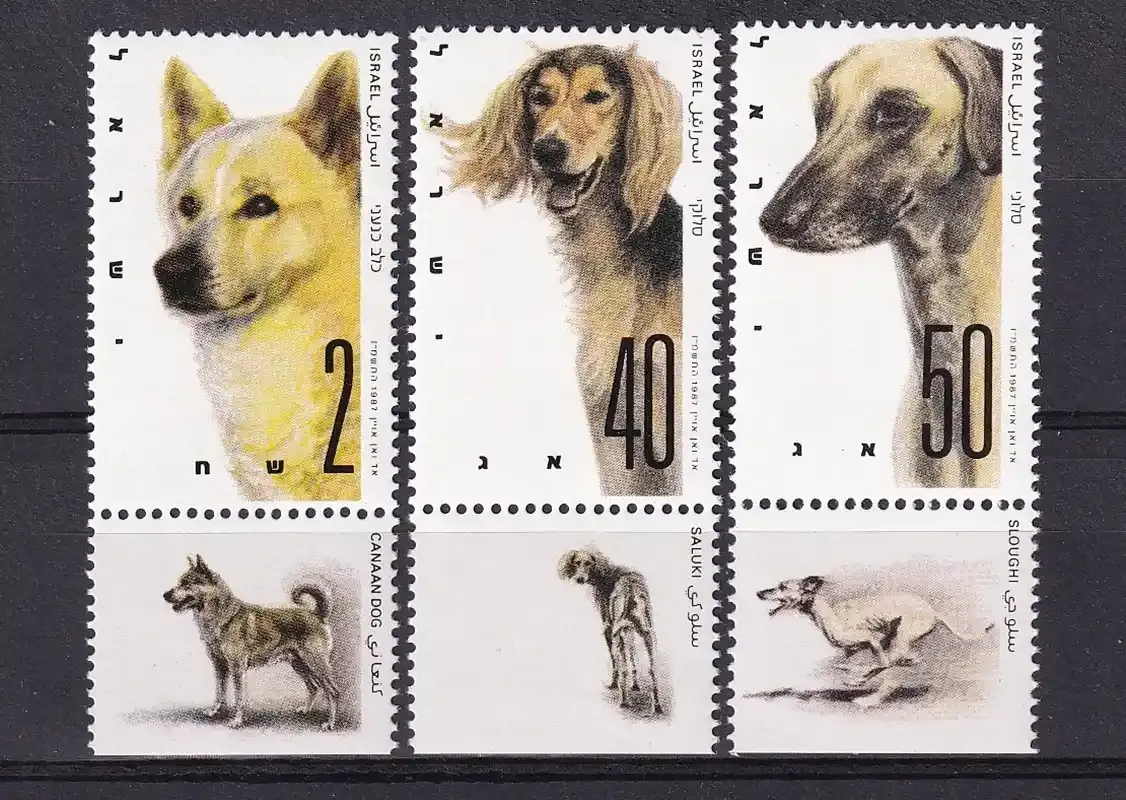 Israel 1987 World Dog Show. Dogs of Israeli Origin (v3). MNH Israel 1987 World Dog Show. Dogs of Israeli Origin (v3). MNH