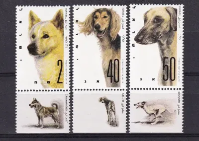 Israel 1987 World Dog Show. Dogs of Israeli Origin (v3). MNH Israel 1987 World Dog Show. Dogs of Israeli Origin (v3). MNH