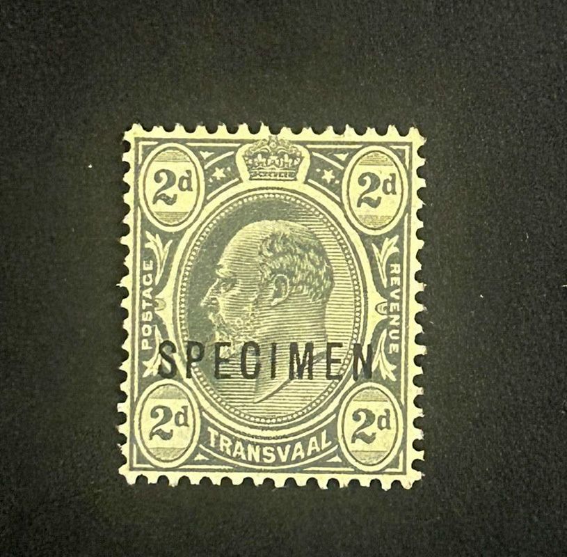 Transvaal 1905 King Edward 2d Grey "Specimen". MNH Transvaal 1905 King Edward 2d Grey "Specimen". MNH