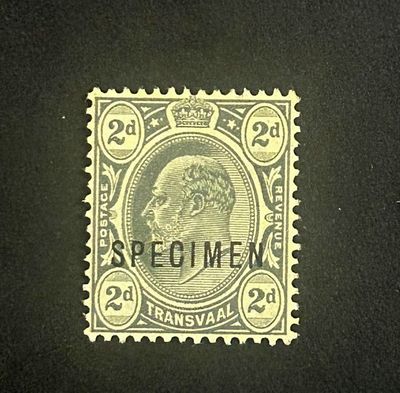Transvaal 1905 King Edward 2d Grey "Specimen". MNH Transvaal 1905 King Edward 2d Grey "Specimen". MNH