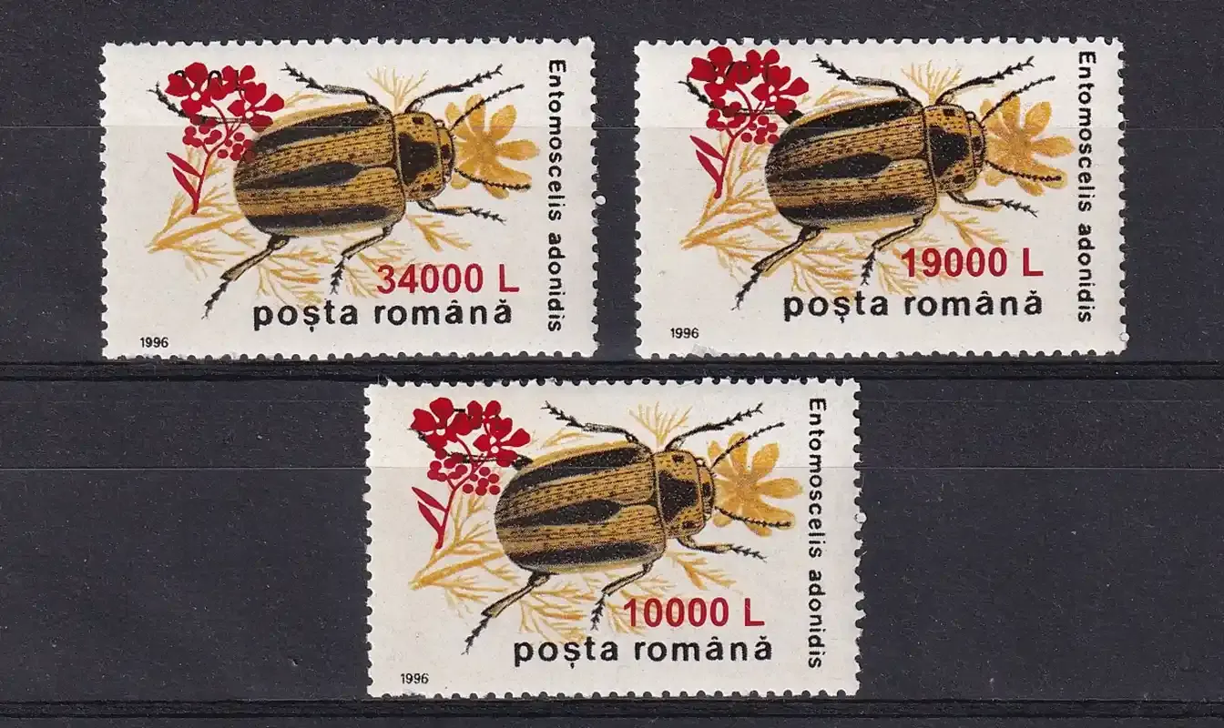 Romania 2000 Insects - Beetles Stamp of 1996 Surcharged. (3v) MNH(**) Romania 2000 Insects - Beetles Stamp of 1996 Surcharged. (3v) MNH(**)