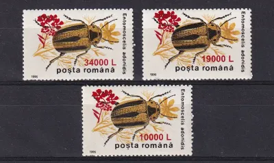 Romania 2000 Insects - Beetles Stamp of 1996 Surcharged. (3v) MNH(**) Romania 2000 Insects - Beetles Stamp of 1996 Surcharged. (3v) MNH(**)