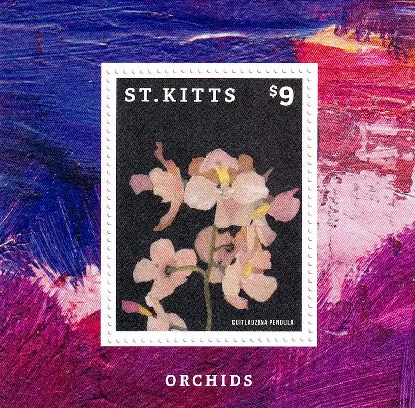 St. Kitts 2013 Flowers - Orchids (ss/1v). MNH St. Kitts 2013 Flowers - Orchids (ss/1v). MNH