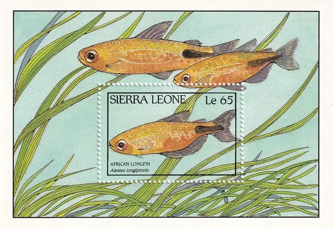 Sierra Leone 1988 Fish (ss/1v). MNH. Sierra Leone 1988 Fish (ss/1v). MNH.