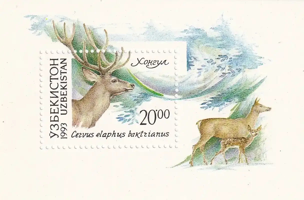 Uzbekistan 1993 Fauna of Uzbekistan (ss/1v). MNH(**) Uzbekistan 1993 Fauna of Uzbekistan (ss/1v). MNH(**)