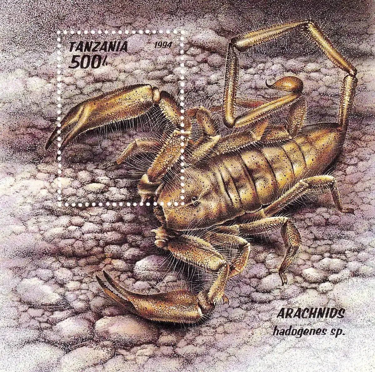 Tanzania 1994 Arachnids, Spiders, Scorpions (ss/1v). MNH(**) Tanzania 1994 Arachnids, Spiders, Scorpions (ss/1v). MNH(**)