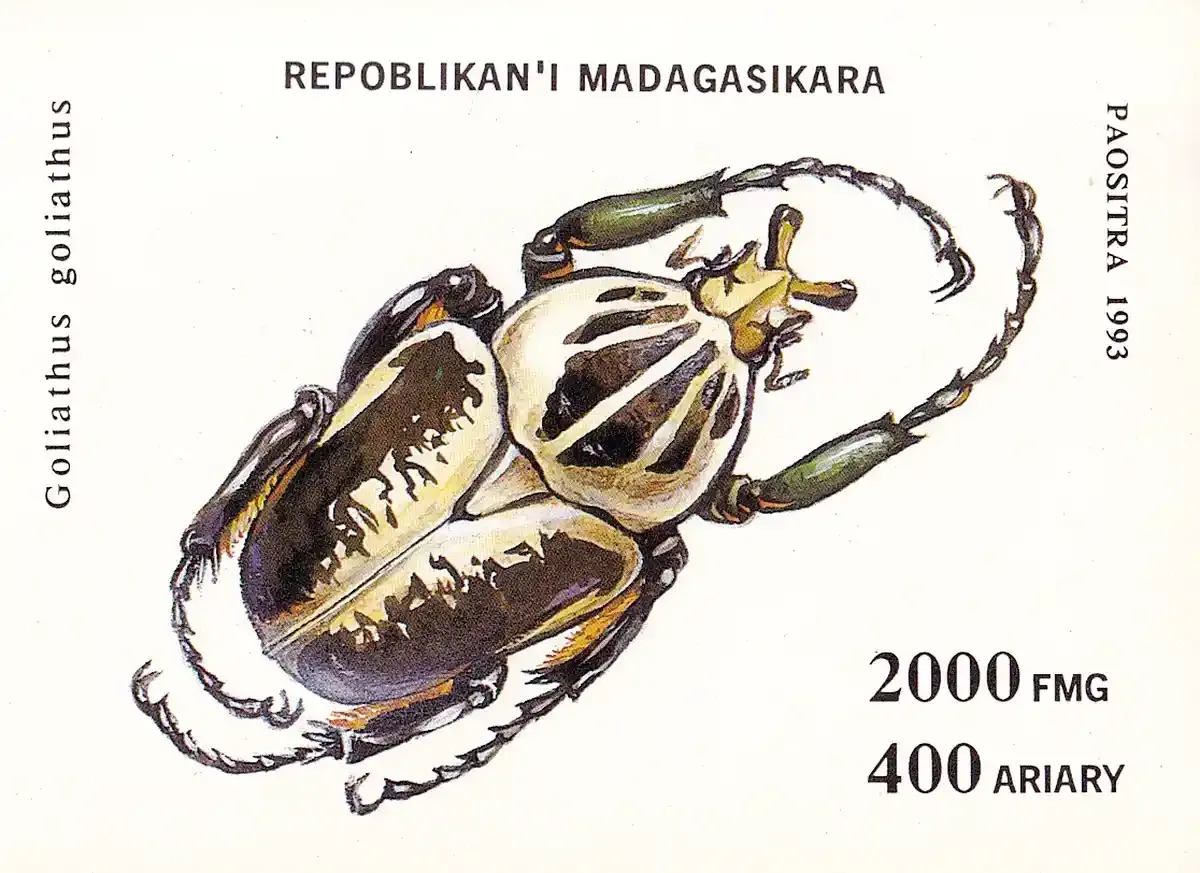 Madagascar 1994 Beetles (ss/1v)-MNH(**) Madagascar 1994 Beetles (ss/1v)-MNH(**)
