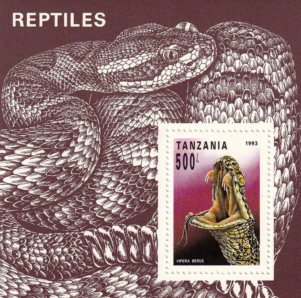 Tanzania 1993 Reptiles (ss/1v). MNH(**)