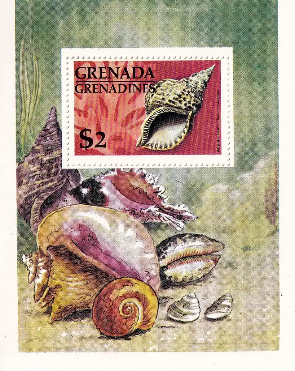 Grenada Grenadines 1976 Shells. (ss/1v). MNH(**)