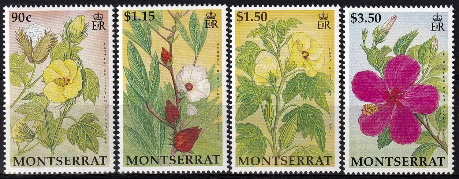 Montserrat 1994 Hibiscus Flowers and Fruits (v4). MNH(**) Montserrat 1994 Hibiscus Flowers and Fruits (v4). MNH(**)